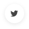 Twitter social media